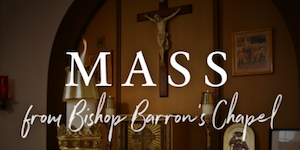 Link to Daily Mass from Bishop Barron's Chapel