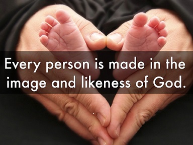 Human Dignity - News