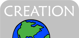 All School Project: God's Gift of Creation